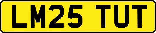 LM25TUT