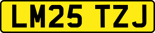 LM25TZJ
