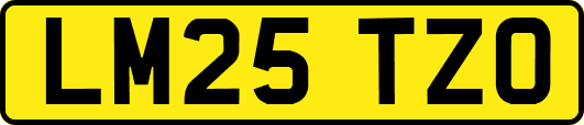 LM25TZO
