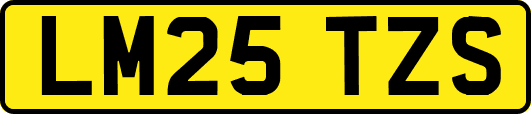 LM25TZS