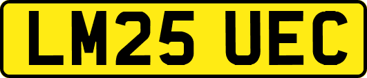 LM25UEC