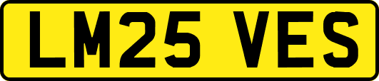 LM25VES