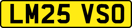 LM25VSO