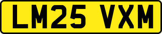 LM25VXM