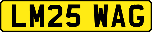 LM25WAG