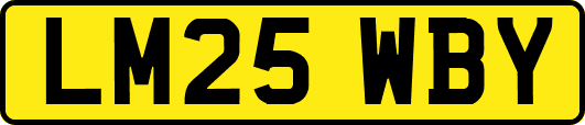 LM25WBY