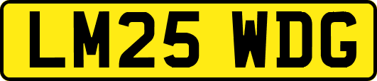LM25WDG