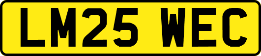 LM25WEC