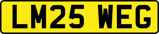 LM25WEG
