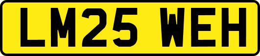 LM25WEH