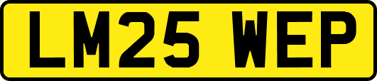 LM25WEP