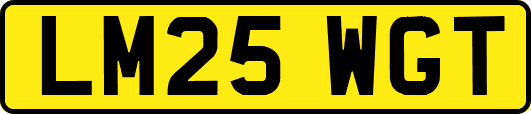 LM25WGT