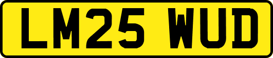 LM25WUD