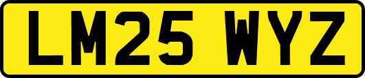 LM25WYZ