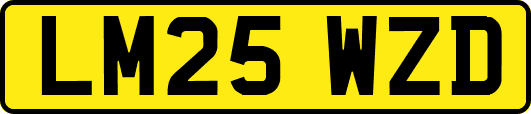 LM25WZD