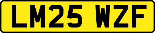 LM25WZF
