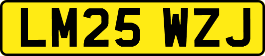 LM25WZJ