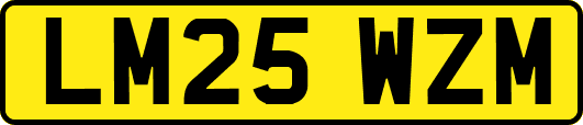 LM25WZM