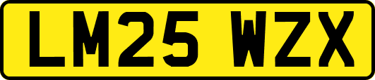 LM25WZX