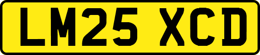 LM25XCD