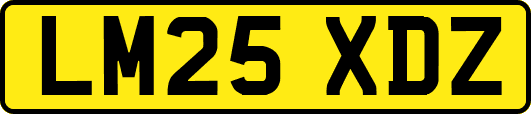 LM25XDZ