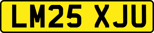 LM25XJU