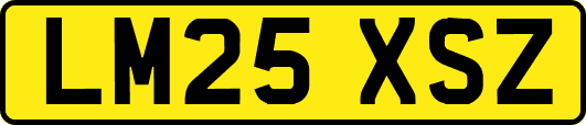 LM25XSZ
