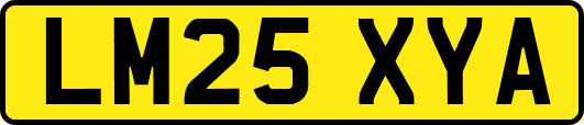 LM25XYA