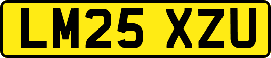 LM25XZU