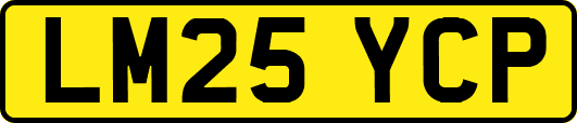 LM25YCP