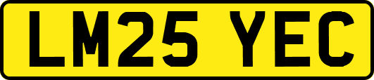 LM25YEC