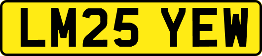LM25YEW