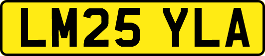LM25YLA