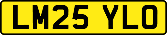 LM25YLO