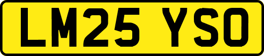 LM25YSO