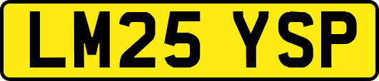 LM25YSP