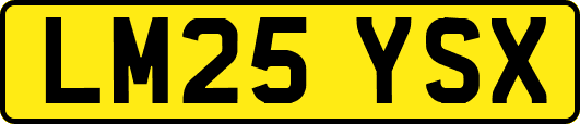 LM25YSX