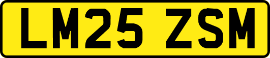LM25ZSM