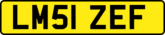 LM51ZEF