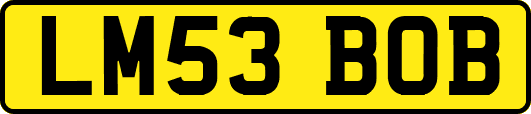 LM53BOB
