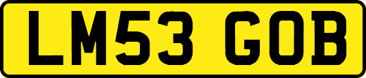 LM53GOB