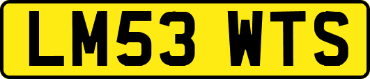 LM53WTS