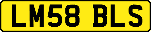 LM58BLS