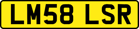 LM58LSR