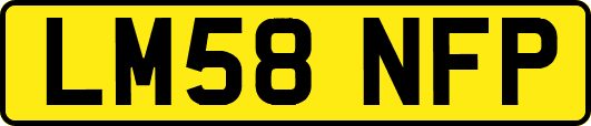 LM58NFP
