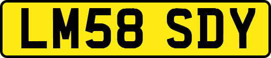 LM58SDY