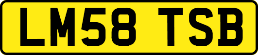 LM58TSB
