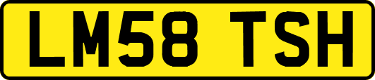 LM58TSH