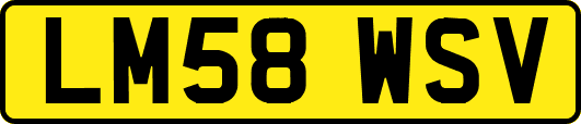 LM58WSV