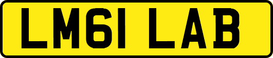 LM61LAB